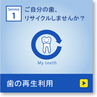 再生医療：歯の再生利用